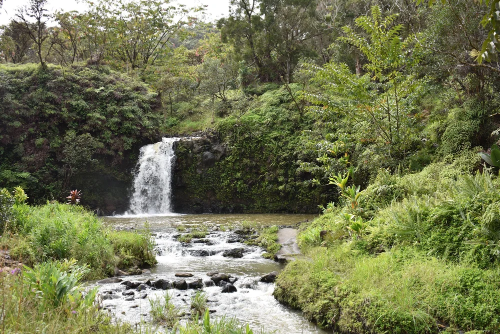 Road to Hana: Paved With Magic on Maui — Boutique Host
